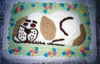 /album/galleria-fotografica/torte-sito-012-jpg1/